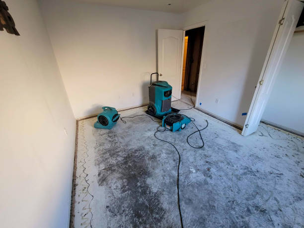 Best Water damage restoration experts  in Yankton, SD