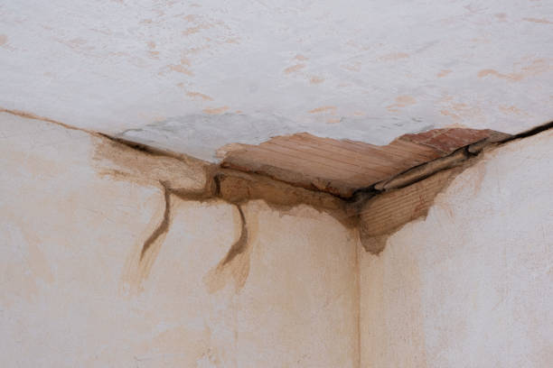 Best Mold removal after water damage  in Yankton, SD