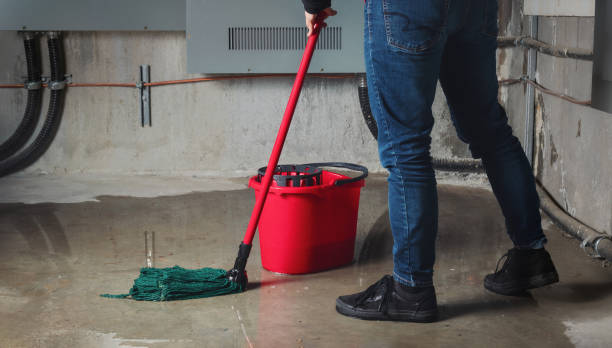 Best Fire Damage Restoration  in Yankton, SD