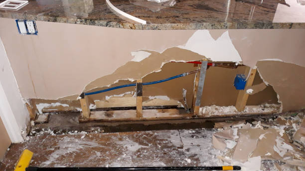 Best Mold removal after water damage  in Yankton, SD