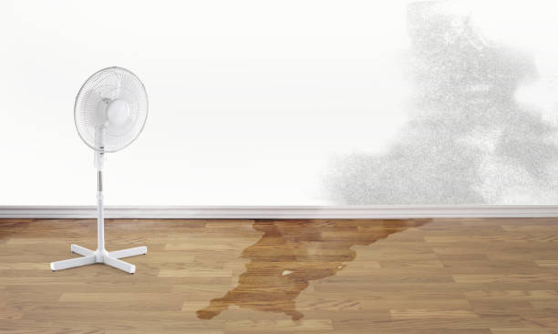 Best Local water damage restoration  in Yankton, SD