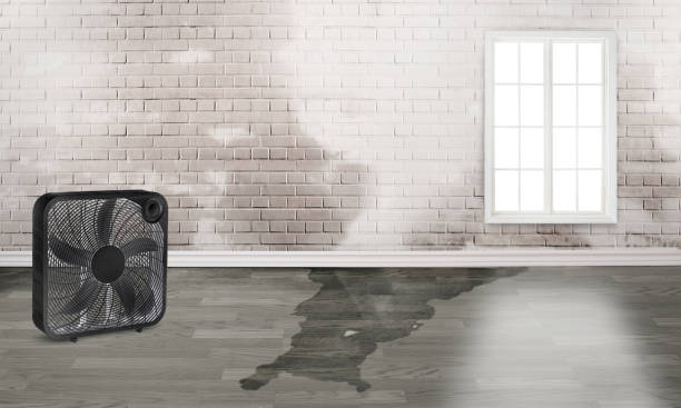 Best Emergency water damage restoration  in Yankton, SD
