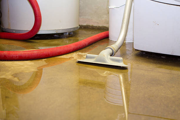 Best Water damage restoration near me  in Yankton, SD