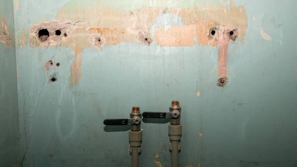 Best Basement water damage restoration  in Yankton, SD