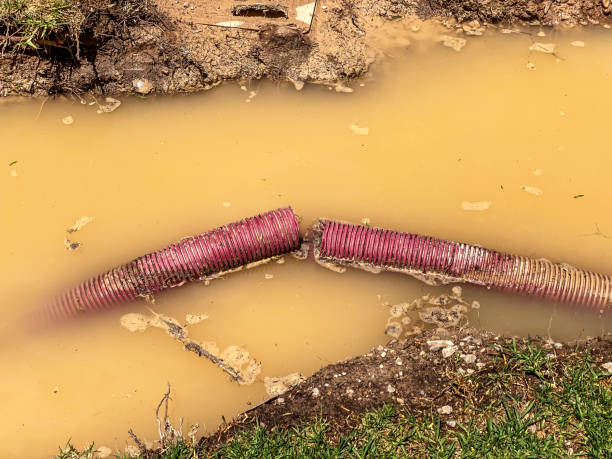 Best Water damage cleanup near me  in Yankton, SD