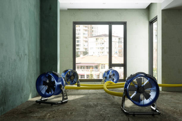 Best Emergency water damage restoration  in Yankton, SD